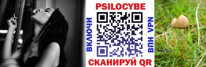 Галлюциногенные грибы Cubensis Лесной