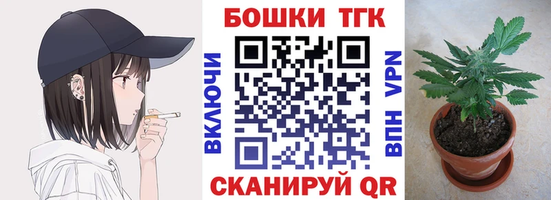 shop какой сайт  Лесной  Канабис SATIVA & INDICA  сколько стоит 